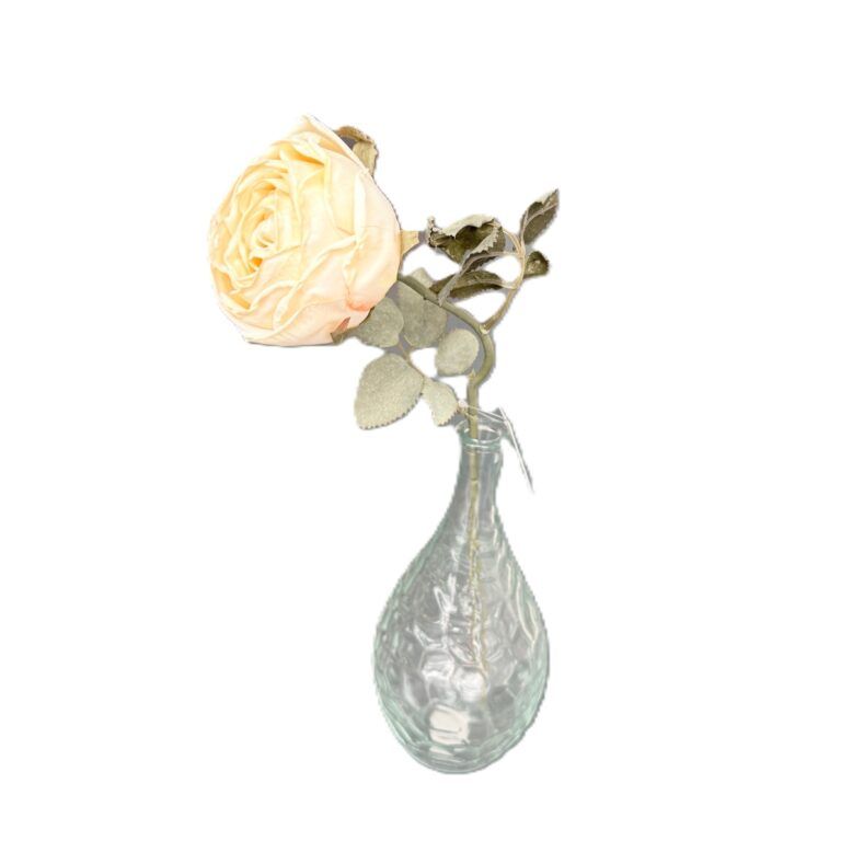 Englische Rose Elizabeth in Natur