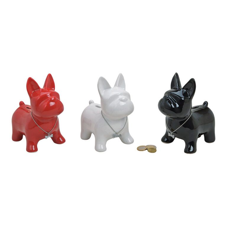 Sparschwein Kässeli Hund in 3 Farben