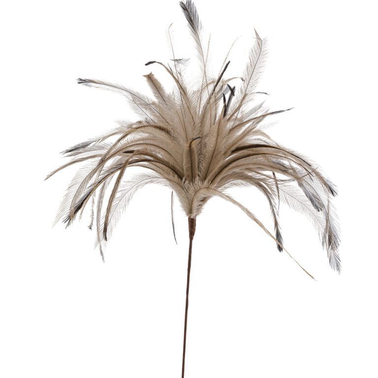 Federstecker in Brauntönen 50 cm
