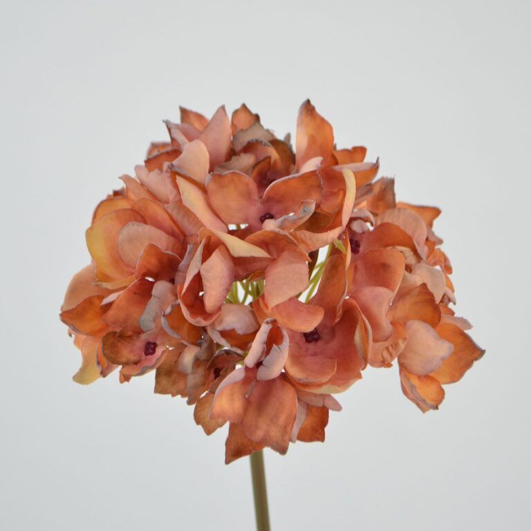 Hortensien-Blüte in Rost 40 cm