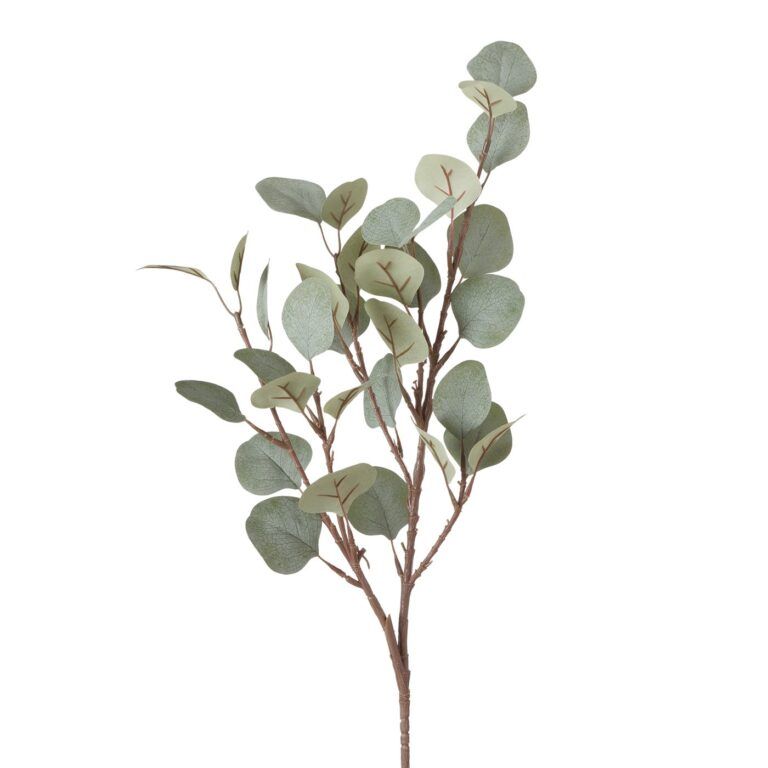 Eukalyptus Zweig in grün matt 69 cm