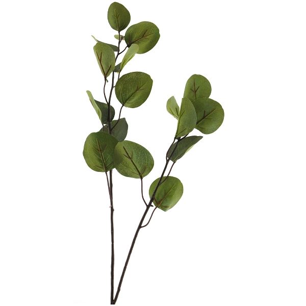 Eukalyptuszweig in Grün 80 cm