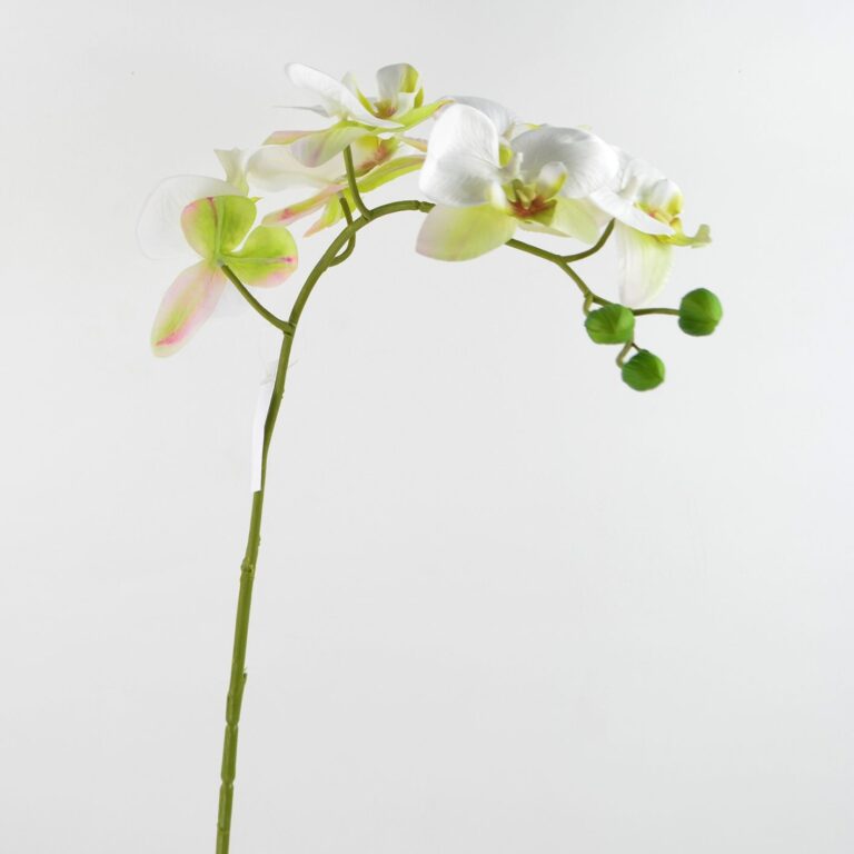 Orchidee Phalaenopsis gross Kunstblume weiss