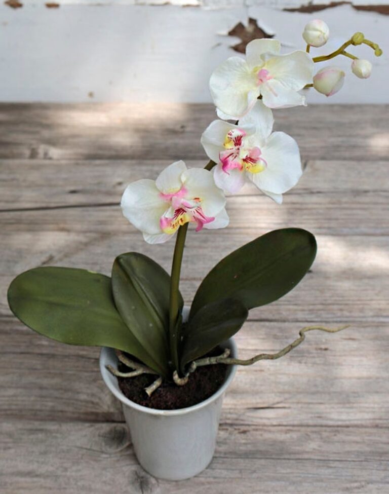Orchidee Phalaenopsis Kunstblumen im Topf