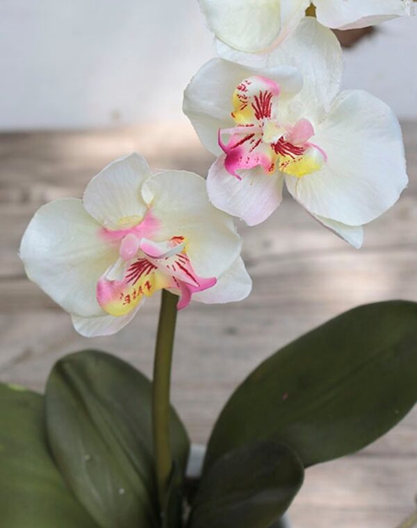 Orchidee Phalaenopsis Kunstblumen im Topf