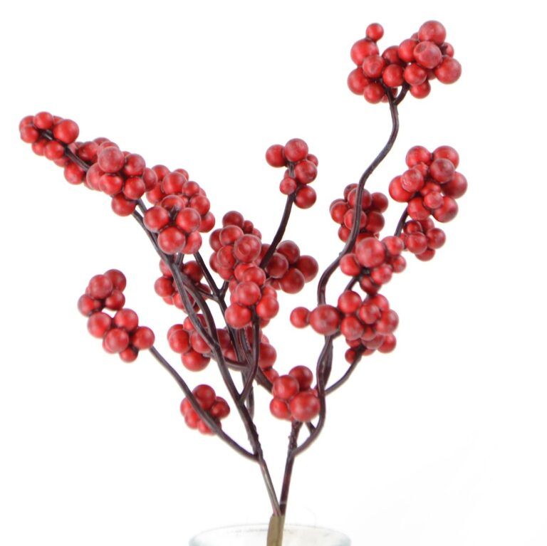 Beeren-Pick 27 cm rot