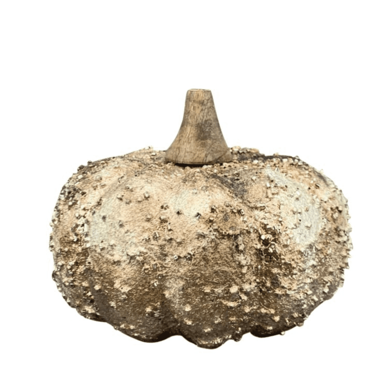 Kürbis aus Holz mit Champagner Schimmer 10 cm