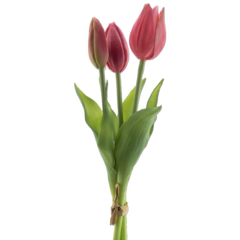 Künstliche Tulpen im Bund creme-weiss 25 cm