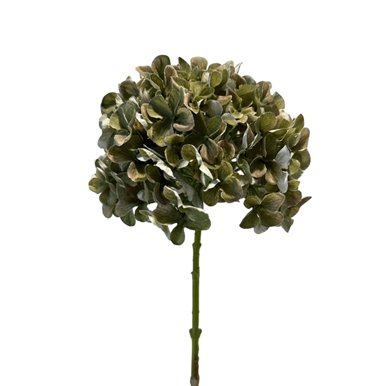 Hortensie herbstlich mit Farbverlauf 64 cm