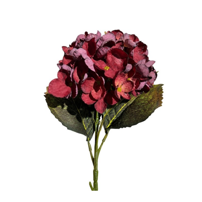 Hortensie herbstlich in Bordeaux mit Farbverlauf 46 cm