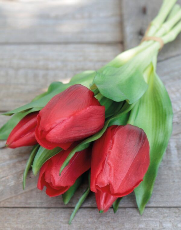 Tulpen künstlich real toucht im Bund rot