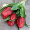 Tulpen künstlich real toucht im Bund rot
