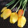 Tulpen künstlich real touch 47 cm im Bund gelb-orange