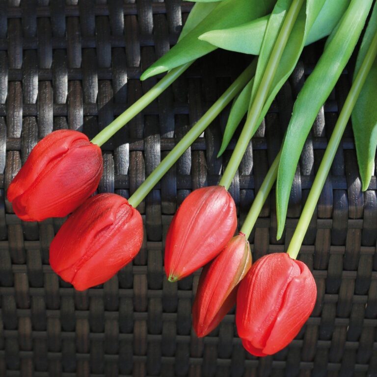 Tulpen künstlich real touch 47 cm im Bund rot