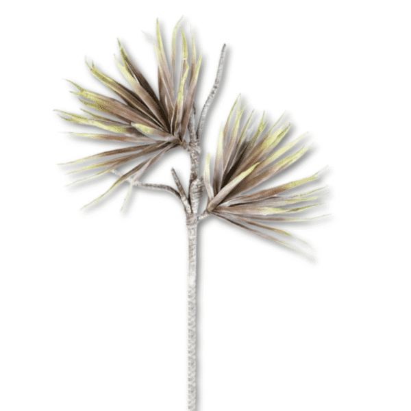 Palme Aloe in Braun-Grün 116 cm