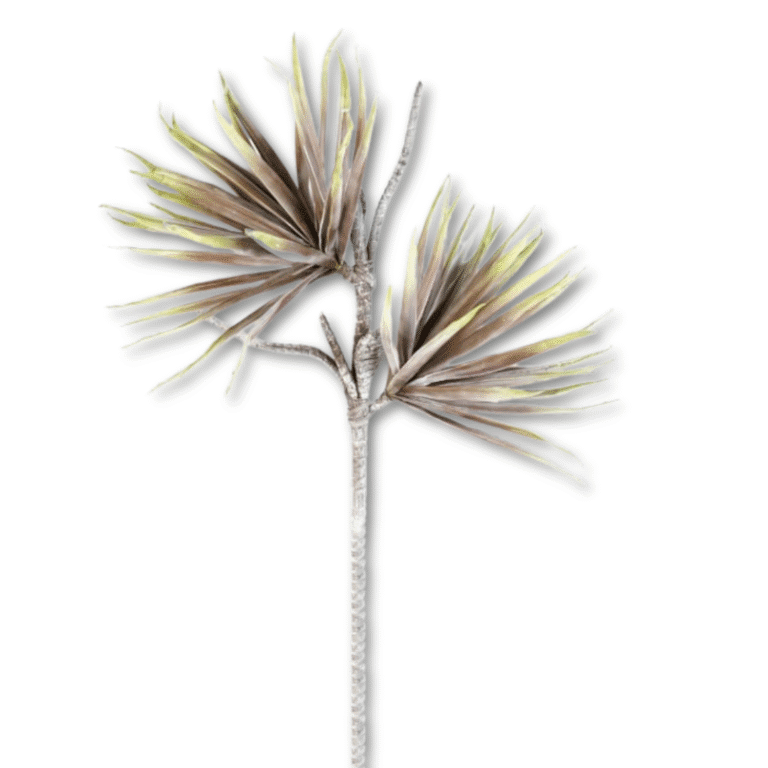 Palme Aloe in Braun-Grün 116 cm