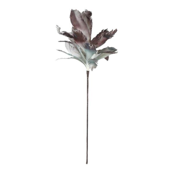 Pflanze Succumara in Grau-Grün 95 cm