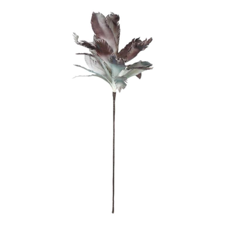 Pflanze Succumara in Grau-Grün 95 cm
