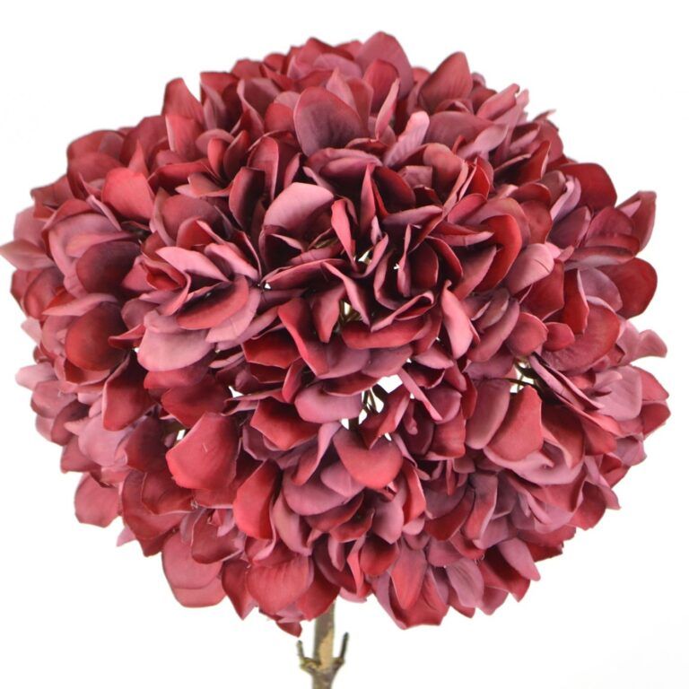 Hortensie Blume Burgund 53 cm