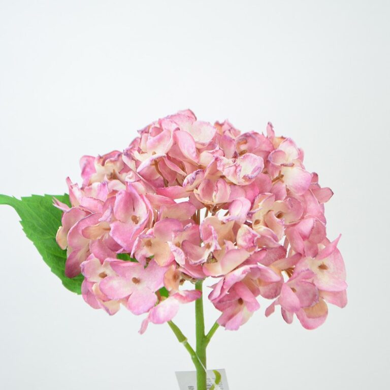 Hortensien-Blüte rosa 34 cm