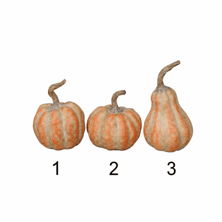 Kürbis Deko in 3 verschiedenen Formen – Orange