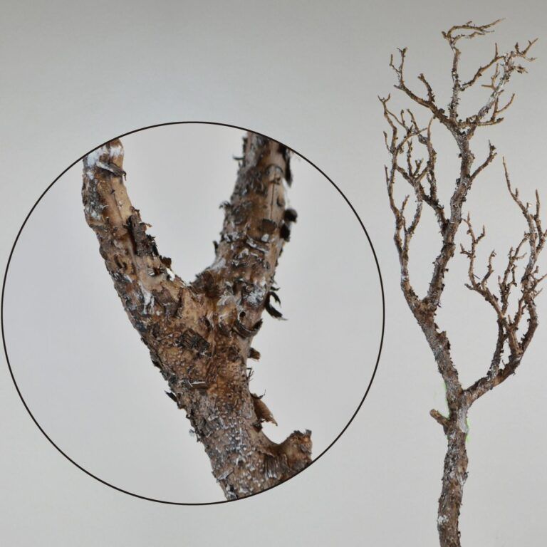 Deko-Ast mit Rinde in braun Naturgetreu 69 cm