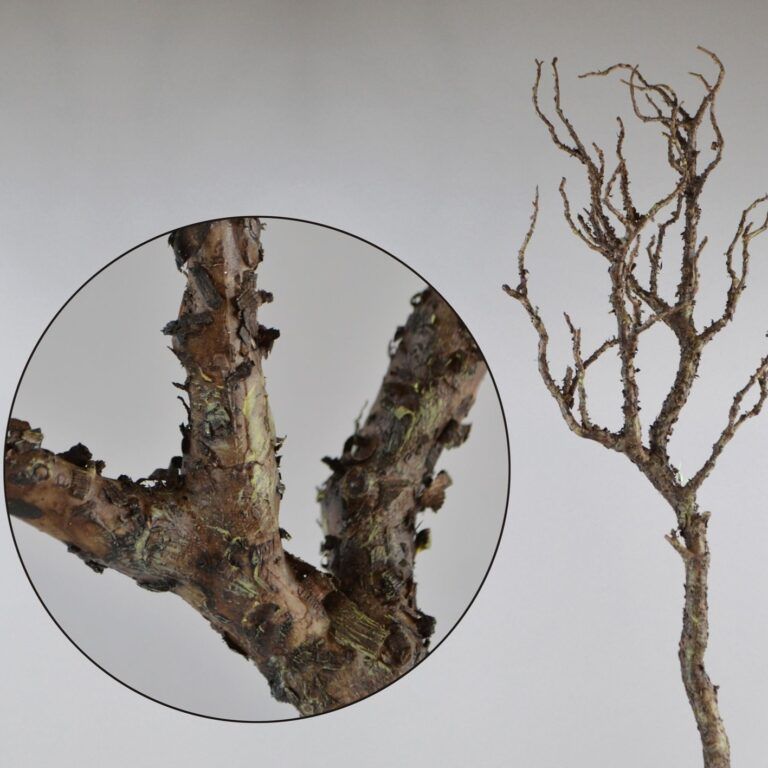 Deko-Ast mit Rinde in braun Naturgetreu 91 cm