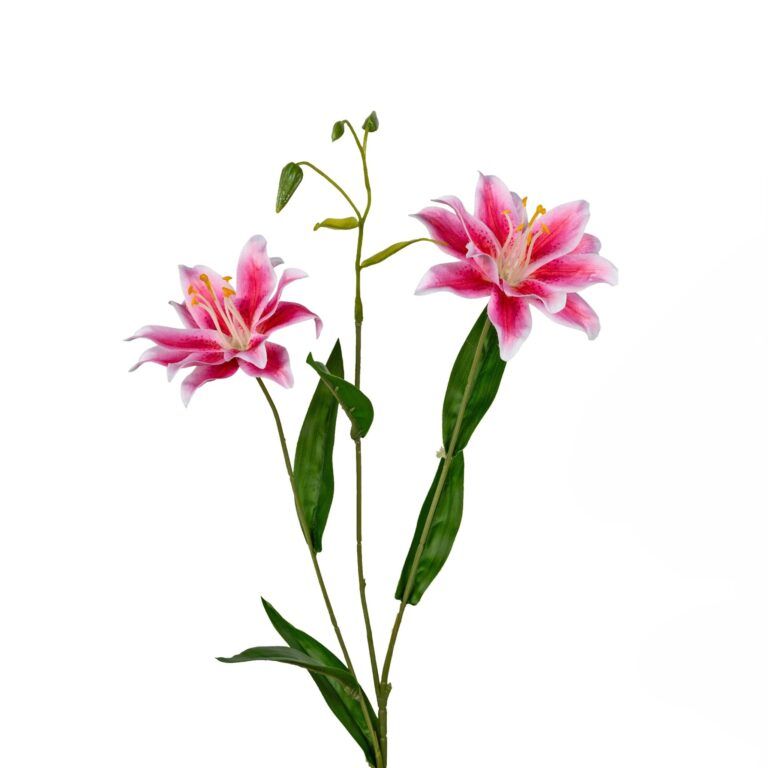 Magnolien-Zweig Weiss-Rosa Real Touch in Weiss-Rosa 88 cm