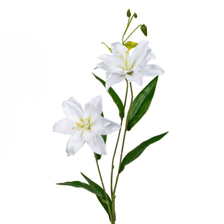 Magnolien-Zweig Weiss-Rosa Real Touch in Weiss-Rosa 88 cm