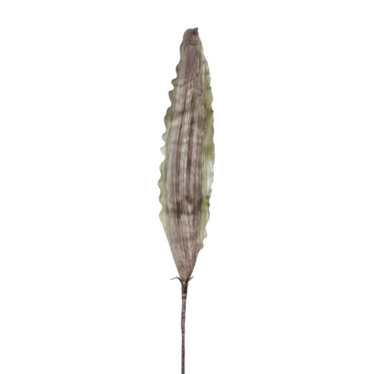 Deko-Blatt Aloe-Leave XXL 115 cm