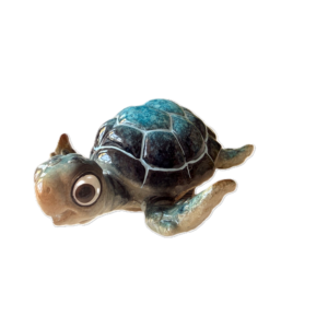 Schildkröte "Harry" am Schwimmen in Blau Schildkröte "Harry" am Schwimmen in Blau