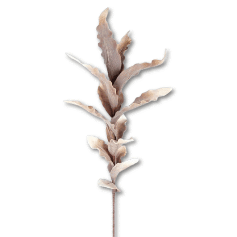 Riesenpalm-Lilie in Braun 105 cm