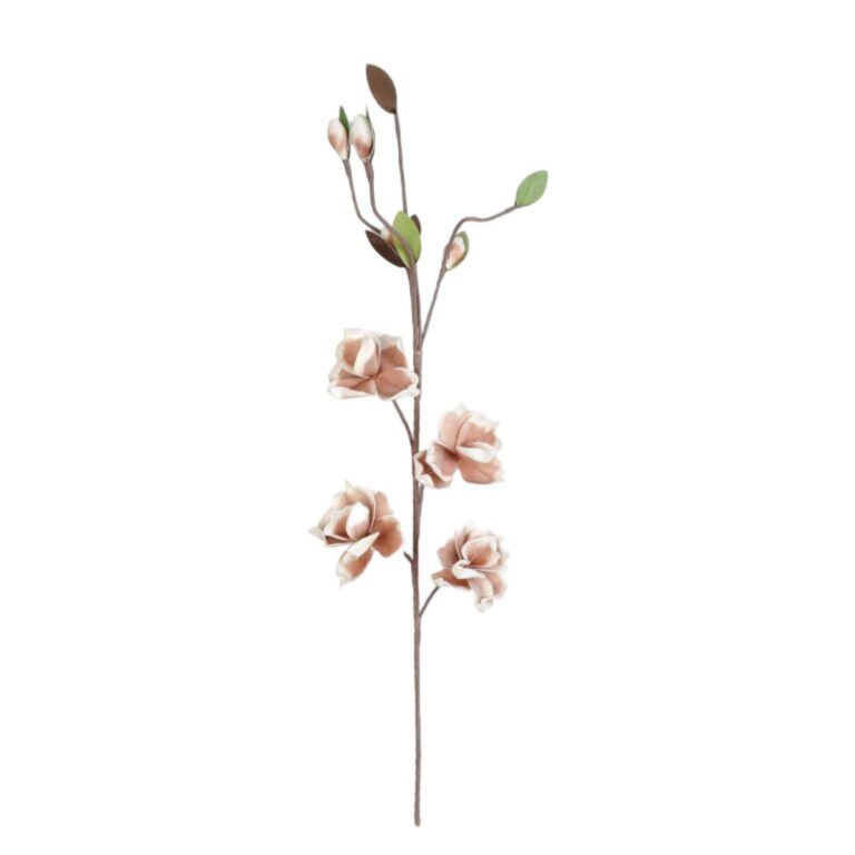 Blume Gloxinia Braun-Weiss 100 cm