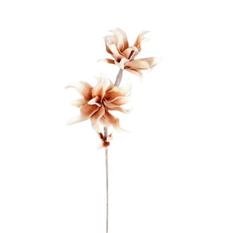 Blume Luzula nivea 77 cm