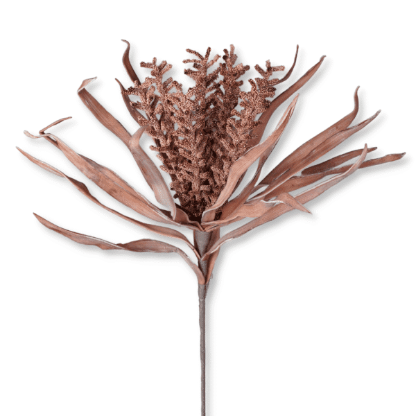 Blume Luzula nivea 77 cm