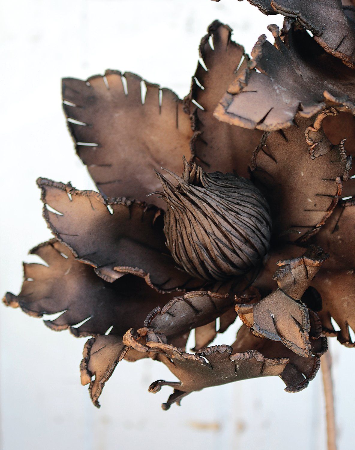 Exotic Kunstblume in Braun mit 2 Köpfen 85 cm Exotic Kunstblume in Braun mit 2 Köpfen 85 cm