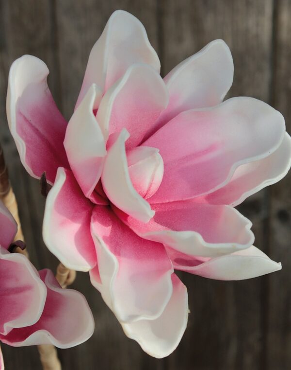 Magnolie Soft Flower Kunstblume