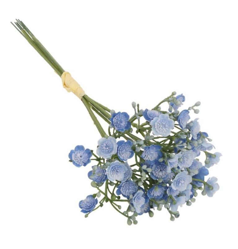 Schleierkraut Mini 6 Stück in Blau