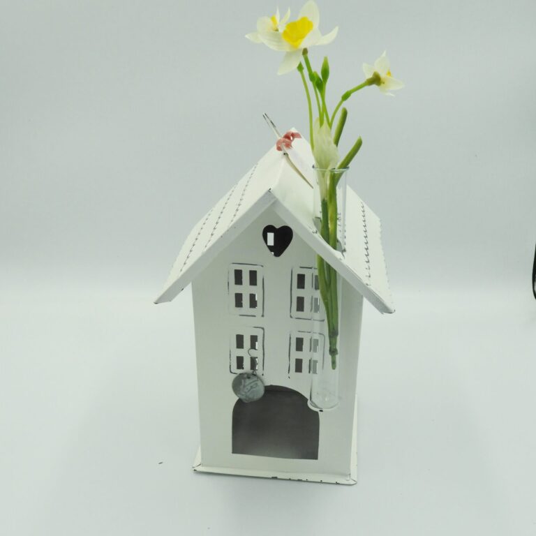 Metallhaus mit Reagenzglas gross