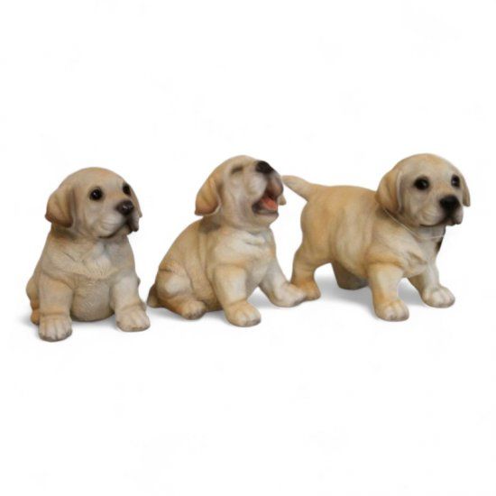 Labrador Welpen in 3 Varianten